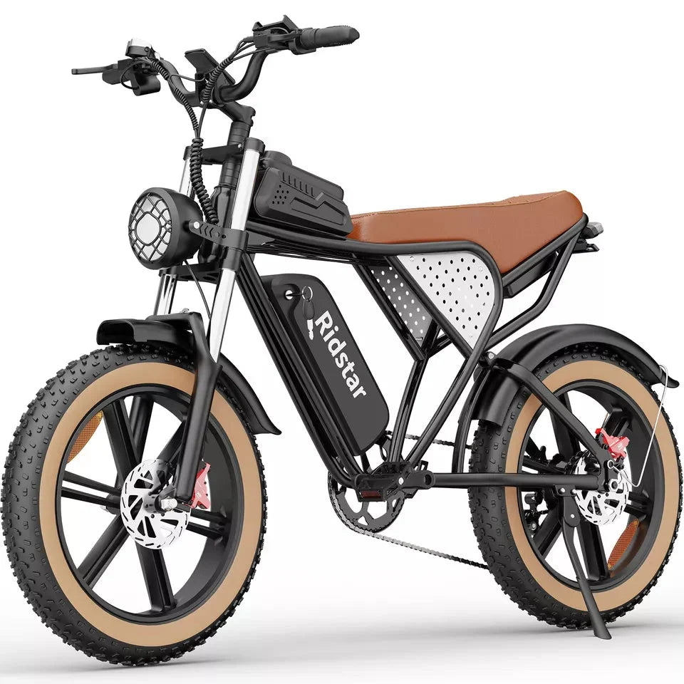 Ridstar Q20 Electric Bike