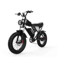 Ridstar Q20 Electric Bike